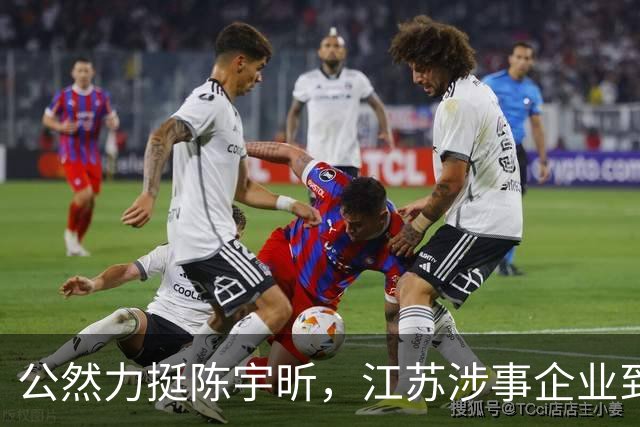 公然力挺陈宇昕，江苏涉事企业到底图个啥