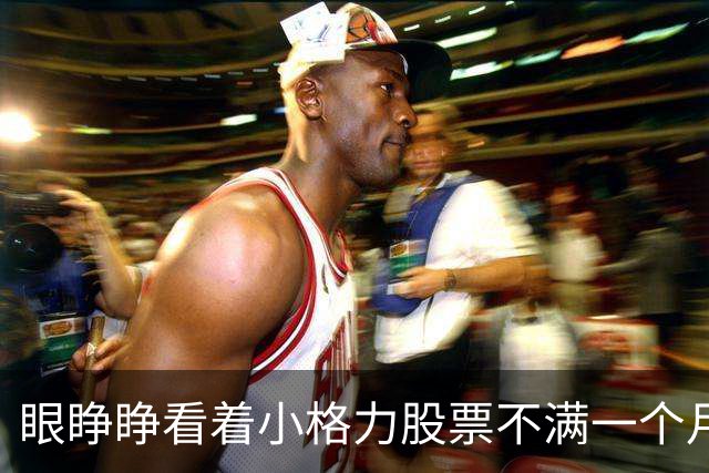 眼睁睁看着小格力股票不满一个月涨幅近50%我说不后悔一定是假话